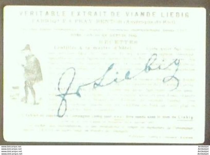 Chromo Liebig Sang  463 Tiel l'espiegle 2 (1895)