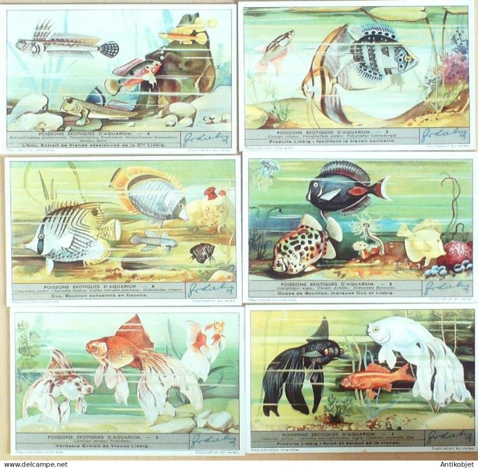 Chromo Liebig Sang 1339 Poissons exotiques d'aquarium (1936)