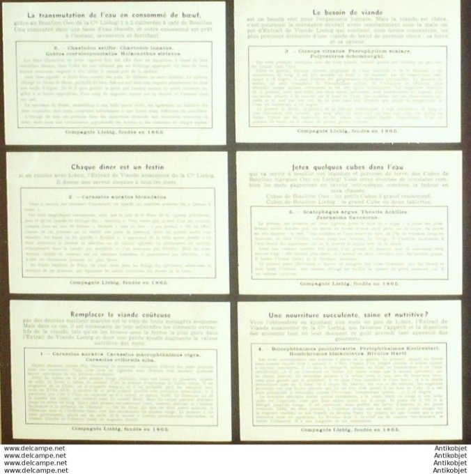 Chromo Liebig Sang 1339 Poissons exotiques d'aquarium (1936)