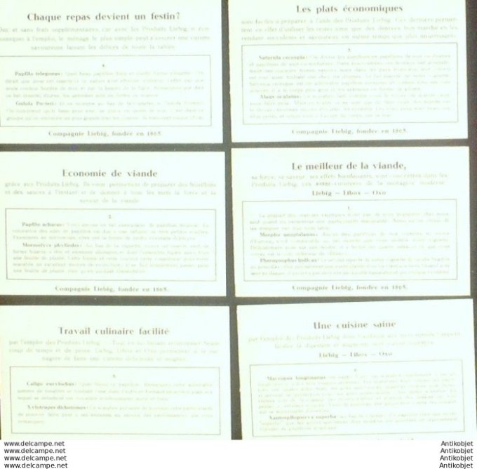 Chromo Liebig Sang 1315 Papillons & scarabees des tropiques (1935)