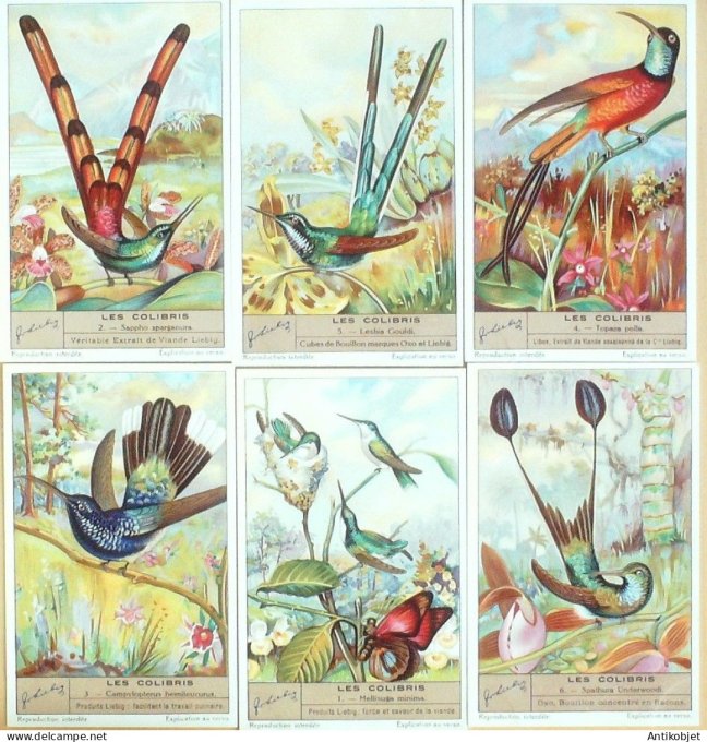 Chromo Liebig Sang 1332 Les Colibris (1936)