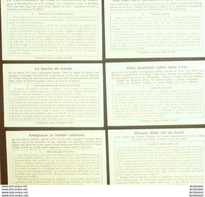 Chromo Liebig Sang 1332 Les Colibris (1936)