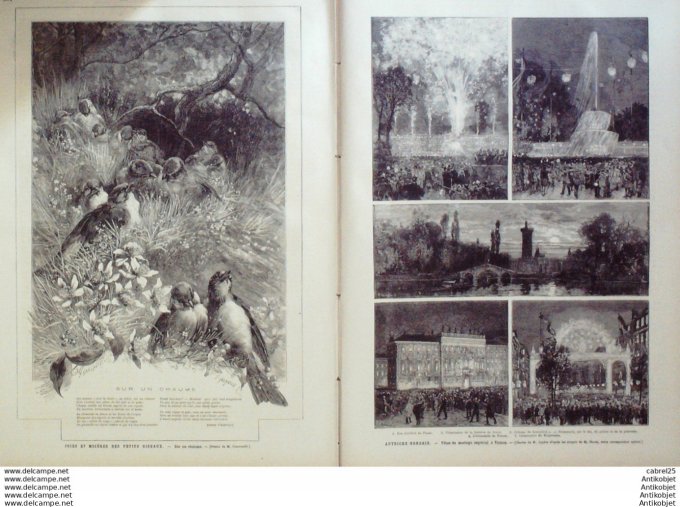 Le Monde illustré 1881 n°1261 Tunisie Oued Melida Kroumirs Sidi Youssef Mont Hallou Autriche Vienne 