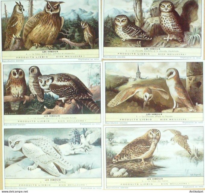 Chromo Liebig Sang 1781 Breughel Pierre (1962)