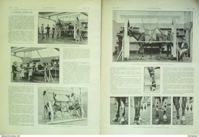 L'illustration 1901 n°3034 Villefranche (69) Toulon (83) chirurgie vétérinaire Tunisie Procession st