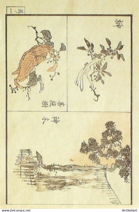 Gravure Japonaise sur Bois Kono Bairei 1844-1895 Feuillages