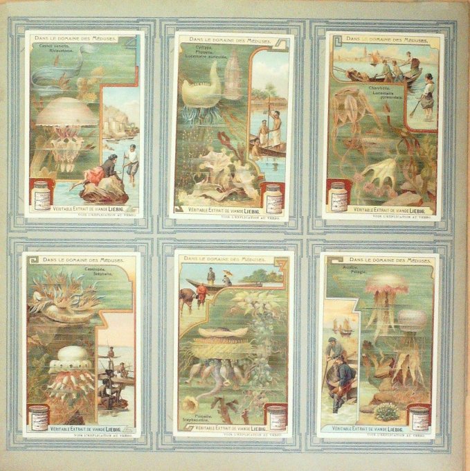 Dans Le Domaine Des Méduses 1908