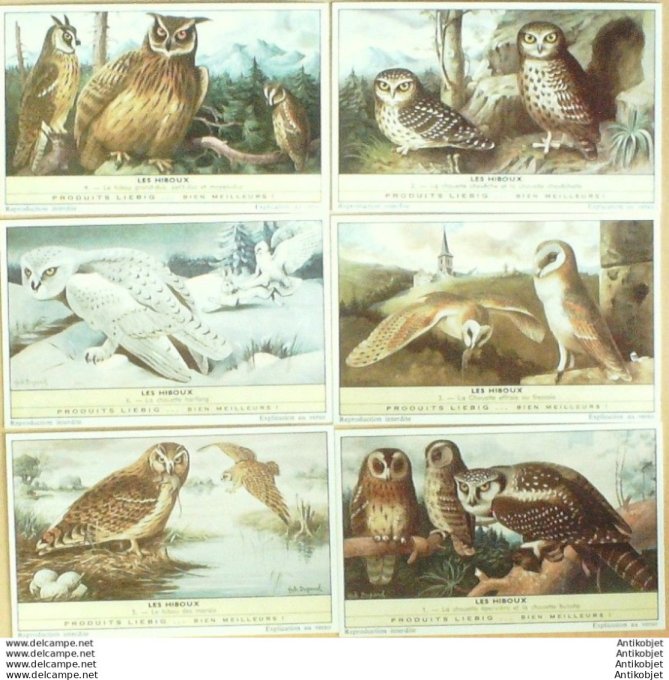 Chromo Liebig Sang 1761 Les Hiboux (1961)