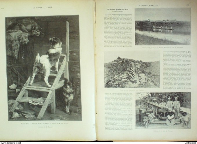 Le Monde illustré 1895 n°2019 Tunis mission Touareg Léon XIII Madagascar Tamatave Alexandre Dumas