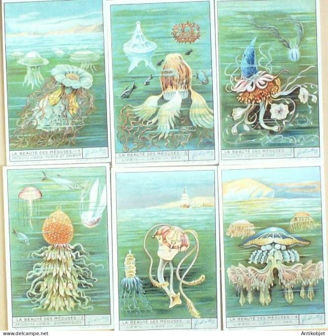 Chromo Liebig Sang 1321 Les meduses (1935)