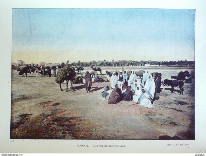 Tunisie Caravane apportant de l'ALFA