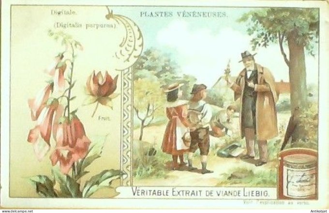 Chromo Liebig Sang  792 Plantes veneneuses I (1904)