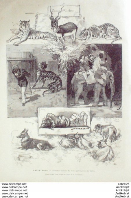 Le Monde illustré 1876 n°1008 Turquie Beicos Constantinople Serbie Belgrade Boriah Djanir Poste Kara