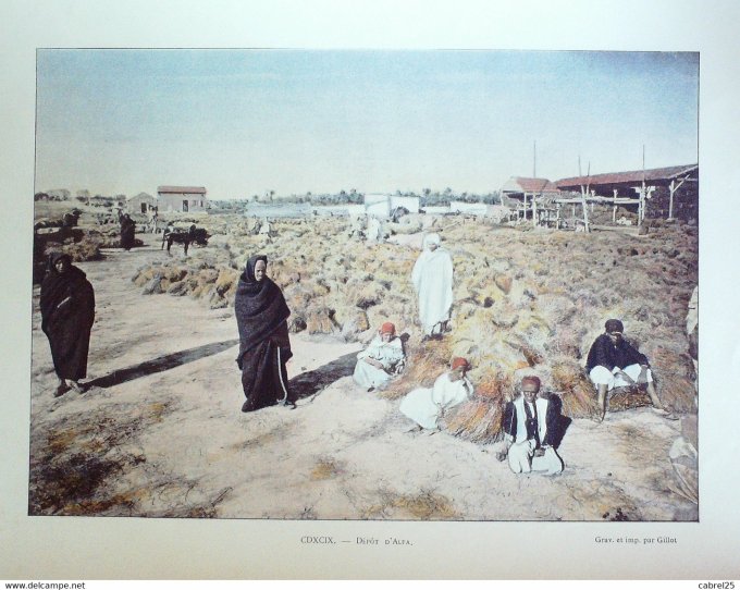 Tunisie Dépôt d'ALFA