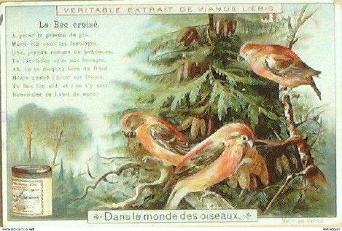 Chromo Liebig Sang  651 Au pays des oiseaux II (1900)