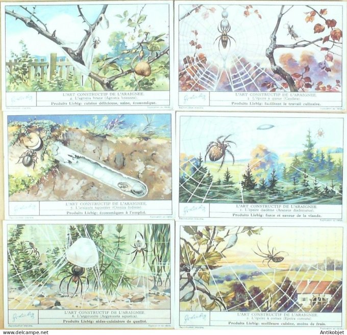 Chromo Liebig Sang 1308 Art constructif de l'araignee (1935)