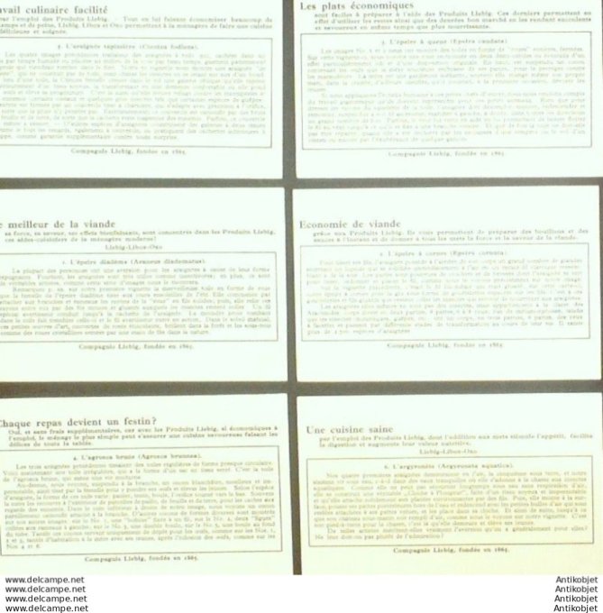 Chromo Liebig Sang 1308 Art constructif de l'araignee (1935)