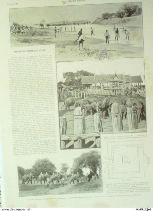 L'illustration 1896 n°2791 Siam Kraal éléphants Bateau rouleur Bazin Mali Tombouctou Dienné