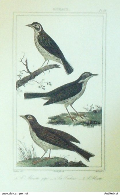 Mouette Tarlmouse Alouette 1833 Vauthier-Buffon