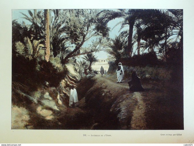 Tunisie Intérieur d'une Oasis tunisienne