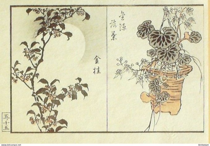 Gravure Japonaise sur Bois Kono Bairei 1844-1895 Fleurs
