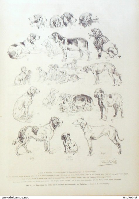 Le Monde illustré 1881 n°1264 Mgr Ségur Tunisie Tunis Beja Oued Zane Italie Milan Algérie Sfisifa Ks