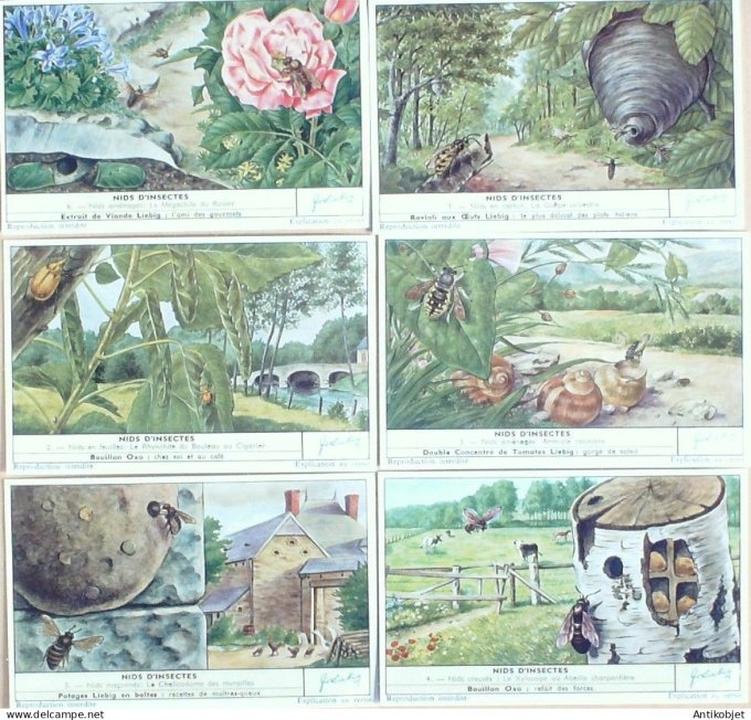 Chromo Liebig Sang 1732 Nids d'insectes (1960)
