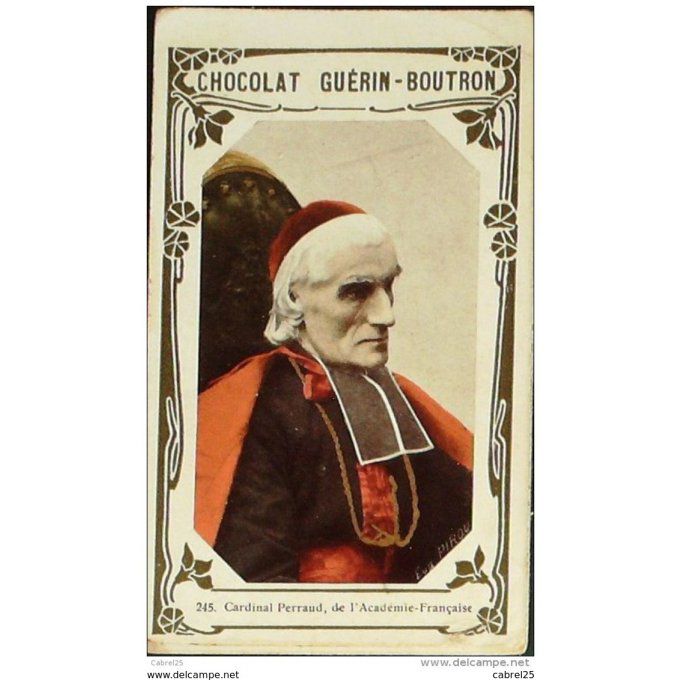 Perraud Cardinal De L'Académie 245