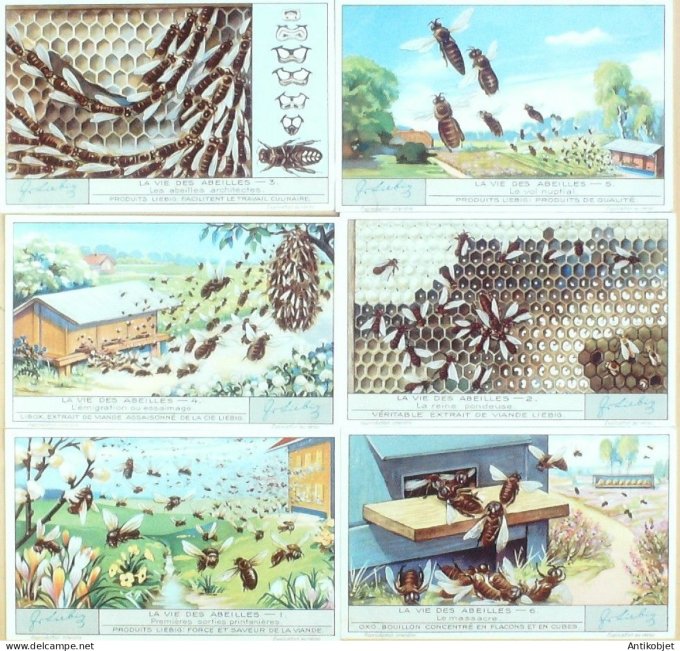Chromo Liebig Sang 1267 Les Abeilles (1933)