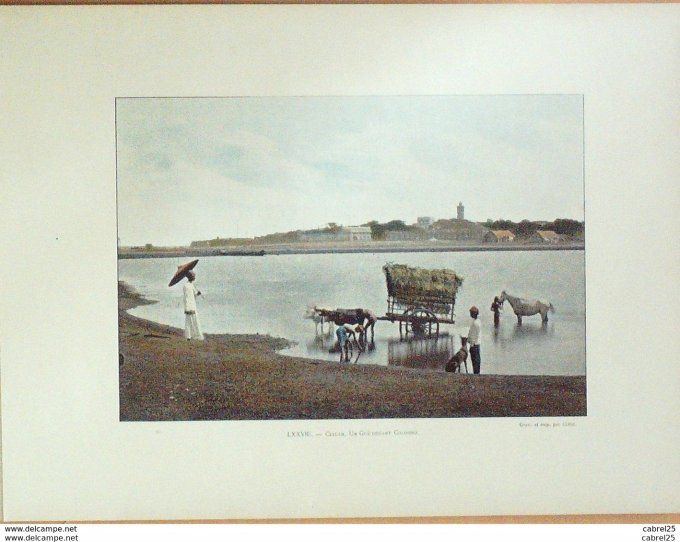 Skri Lanka Eléphants traînant un madrier