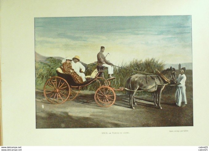 Mayotte Voiture de COLONS
