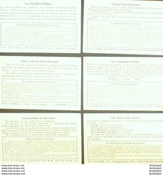 Chromo Liebig Sang 1265 Plantes parasites (Allemagne) (1932)