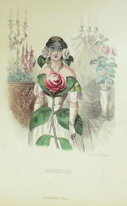 Grandville "Les fleurs animées" Camélia 1847 