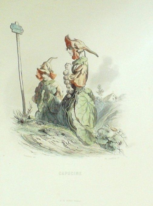 Grandville "Les fleurs animées" Capucine 1847