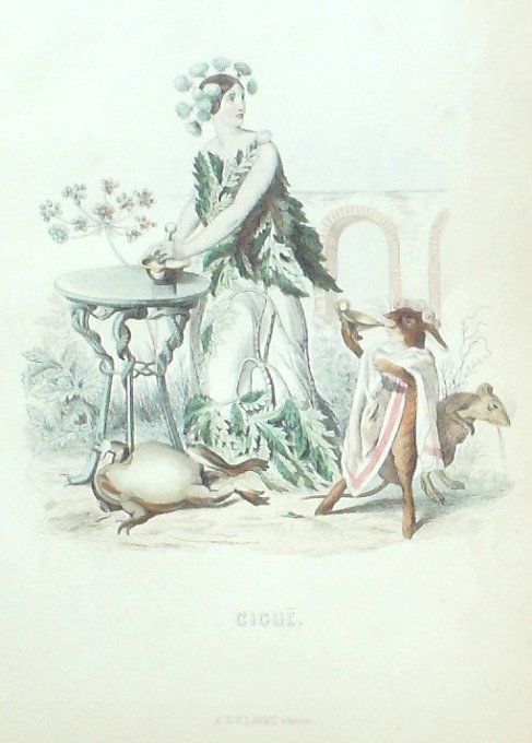 Grandville "Les fleurs animées" Gigue 1847 