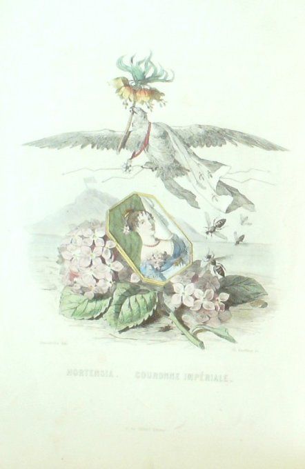 Grandville "Les fleurs animées" Hortensia 1847 