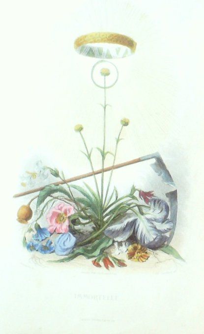 Grandville "Les fleurs animées" Immortelle 1847 