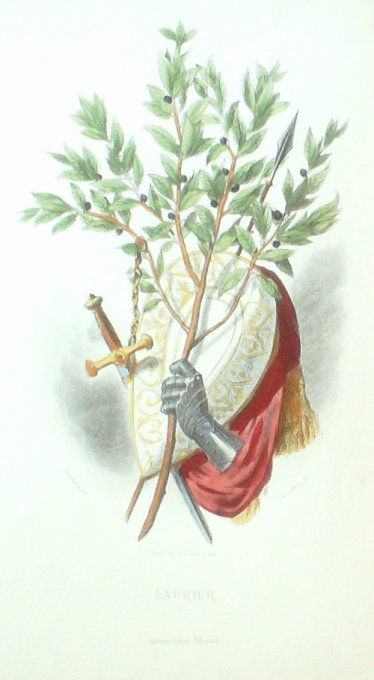 Grandville "Les fleurs animées" Laurier 1847