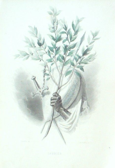 Grandville "Les fleurs animées" Laurier 1847 