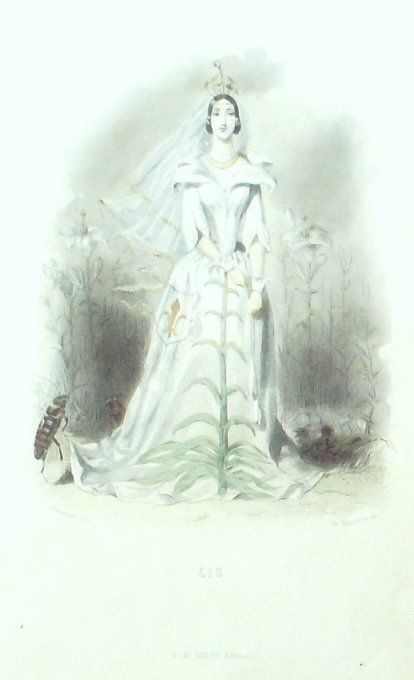 Grandville "Les fleurs animées" Lis 1847