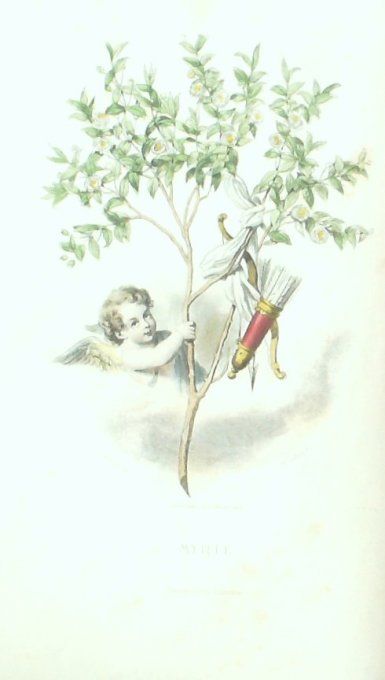 Grandville "Les Fleurs Animées" Myrte 1847