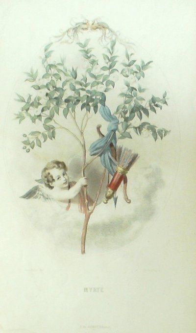 Grandville "Les Fleurs Animées" Myrte 1847