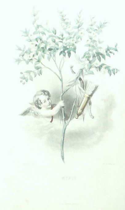 Grandville "Les Fleurs Animées" Myrte 1847 