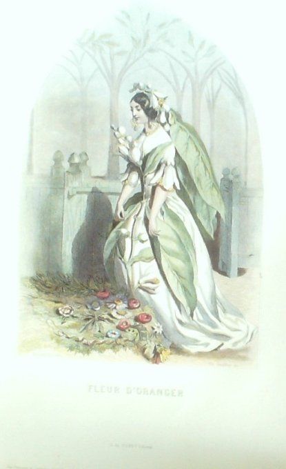 Grandville "Les Fleurs Animées" Oranger 1847