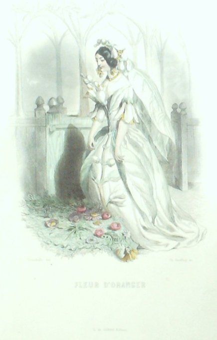 Grandville "Les Fleurs Animées" Oranger 1847