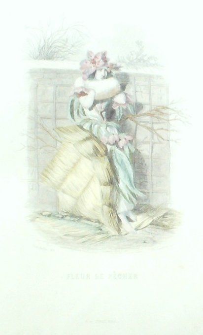 Grandville "Les Fleurs Animées" Pêcher 1847