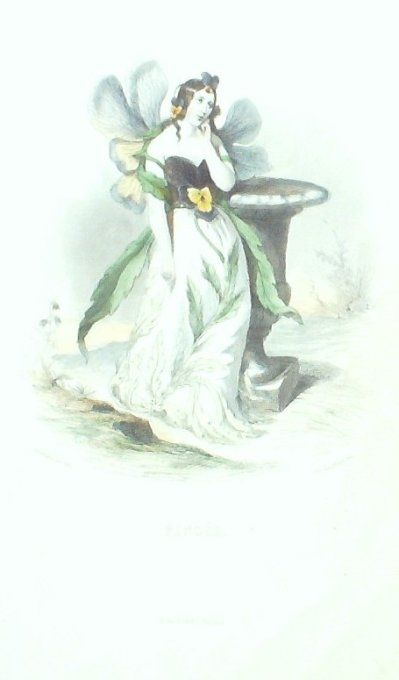 Grandville "Les Fleurs Animées" Pensée 1847 