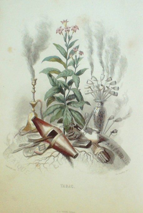 Grandville "Les Fleurs Animées" Tabac 1847 