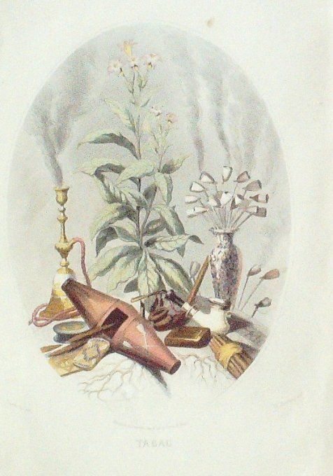 Grandville "Les Fleurs Animées" Tabac B 1847