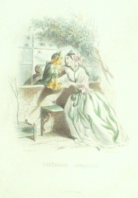 Grandville "Les Fleurs Animées" Jonquille 1847